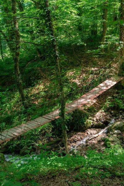 На Курорте Красная Поляна откроются первые в этом сезоне экотропы