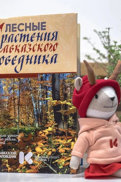 Выход книги о лесных растениях Западного Кавказа
