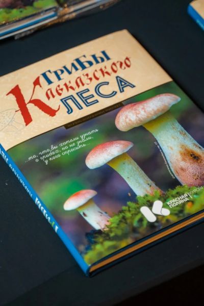 Презентация книги Грибы Кавказского леса