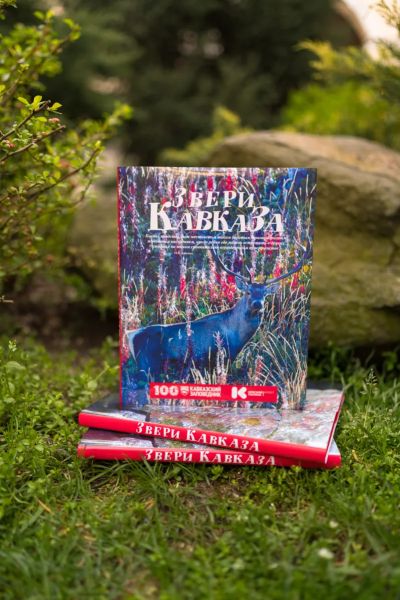 На Курорте Красная Поляна презентовали новую  научно-популярную книгу «Звери Кавказа»